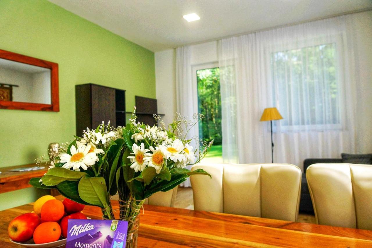 Alpok - Spirit Apartman Park Kőszeg Εξωτερικό φωτογραφία